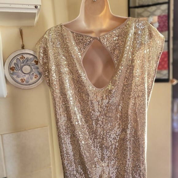 Caché Champagne/Nude Sequins Boat Neck Blouse Size Small - Picture 7 of 7